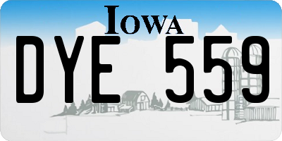 IA license plate DYE559