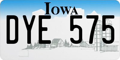 IA license plate DYE575
