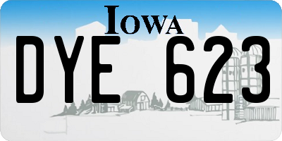 IA license plate DYE623