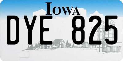 IA license plate DYE825