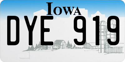 IA license plate DYE919