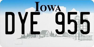 IA license plate DYE955