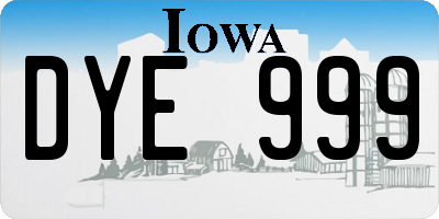 IA license plate DYE999