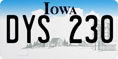 IA license plate DYS230