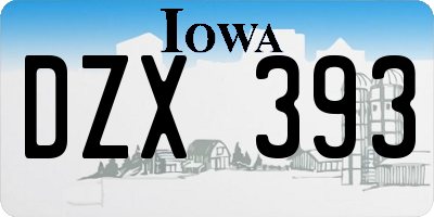 IA license plate DZX393