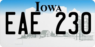 IA license plate EAE230