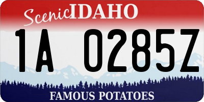 ID license plate 1A0285Z