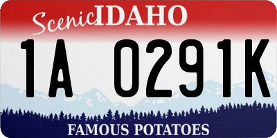 ID license plate 1A0291K