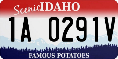 ID license plate 1A0291V