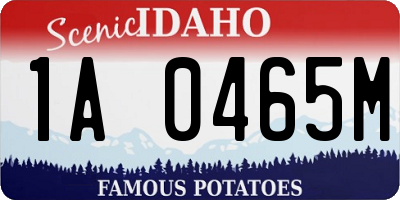 ID license plate 1A0465M