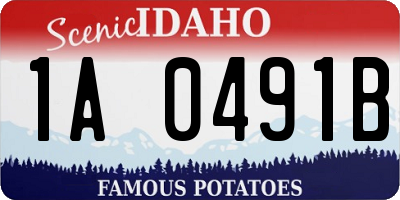 ID license plate 1A0491B