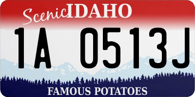 ID license plate 1A0513J