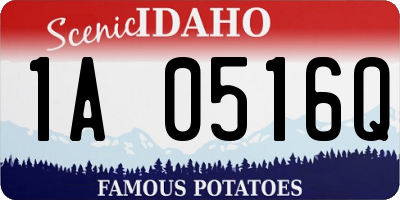 ID license plate 1A0516Q