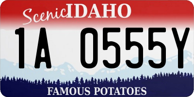 ID license plate 1A0555Y