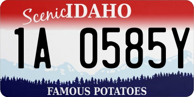 ID license plate 1A0585Y