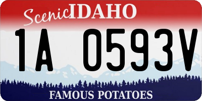 ID license plate 1A0593V