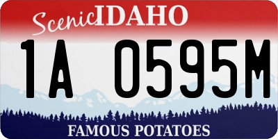 ID license plate 1A0595M