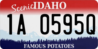 ID license plate 1A0595Q