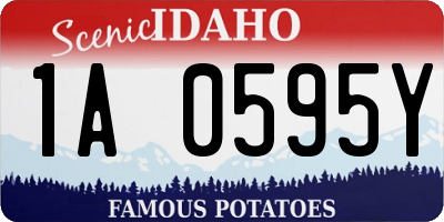 ID license plate 1A0595Y