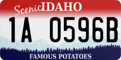 ID license plate 1A0596B