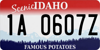 ID license plate 1A0607Z