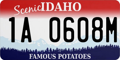 ID license plate 1A0608M