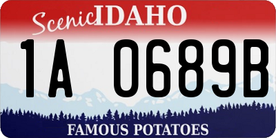 ID license plate 1A0689B
