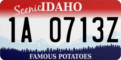 ID license plate 1A0713Z