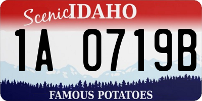 ID license plate 1A0719B