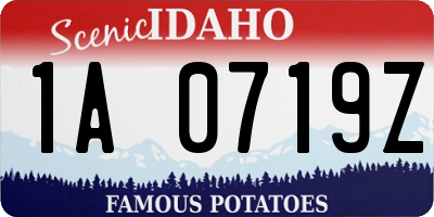 ID license plate 1A0719Z