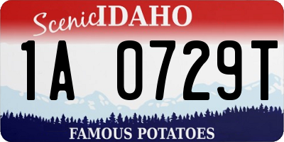 ID license plate 1A0729T