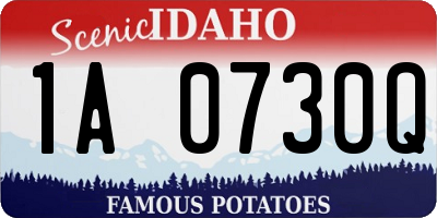ID license plate 1A0730Q