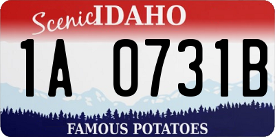 ID license plate 1A0731B