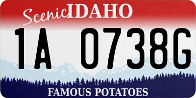 ID license plate 1A0738G