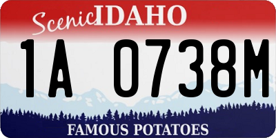 ID license plate 1A0738M