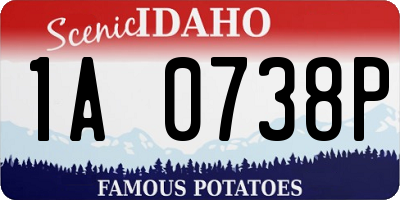ID license plate 1A0738P