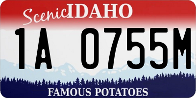 ID license plate 1A0755M
