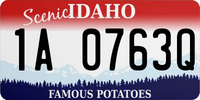ID license plate 1A0763Q