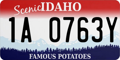 ID license plate 1A0763Y