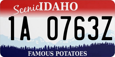 ID license plate 1A0763Z