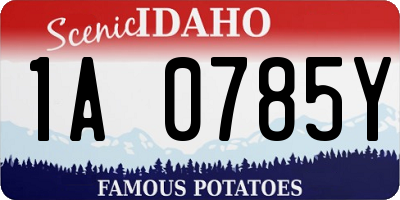 ID license plate 1A0785Y