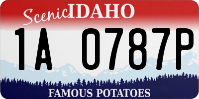 ID license plate 1A0787P