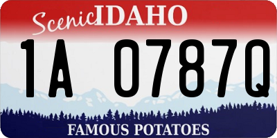 ID license plate 1A0787Q