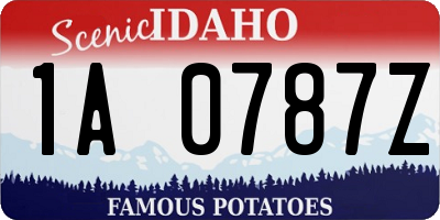 ID license plate 1A0787Z