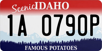 ID license plate 1A0790P