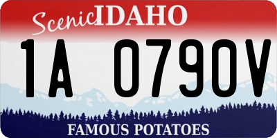 ID license plate 1A0790V
