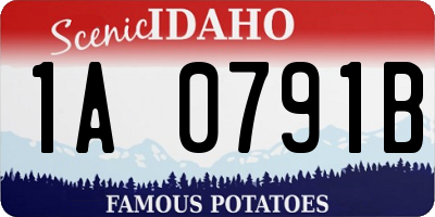 ID license plate 1A0791B
