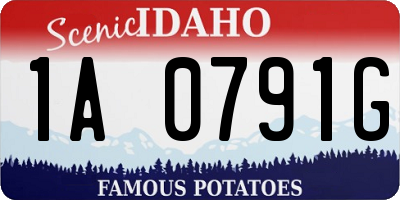 ID license plate 1A0791G