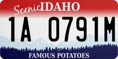 ID license plate 1A0791M