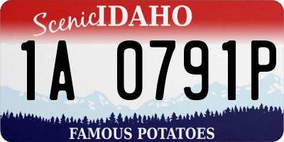 ID license plate 1A0791P
